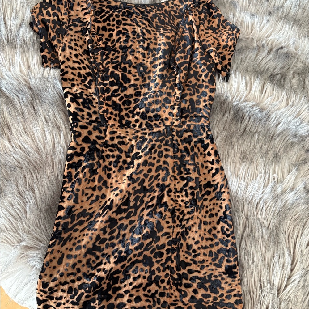 Angel Biba Brown and Black Off the Shoulder Bodycon Mini Dress
